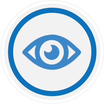 vision